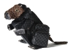2010.005.001000.tif      cameleon
