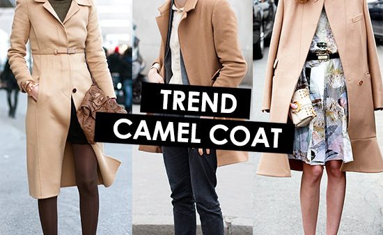 camel_coat_tendenza_2014_2015