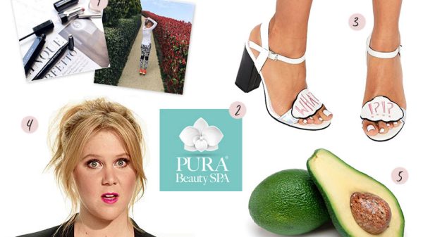 monday survival kit 6