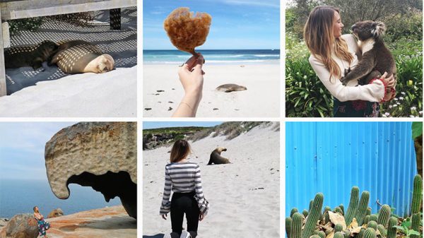 adelaide-sud-australia-guida-cosa-fare