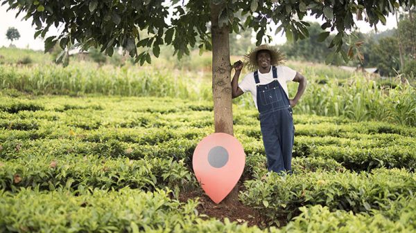 treedom-regala-un-albero