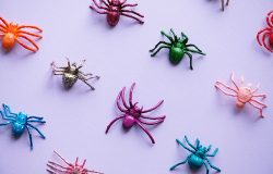 riflessione-sulla-paura