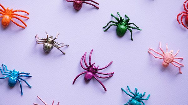 riflessione-sulla-paura