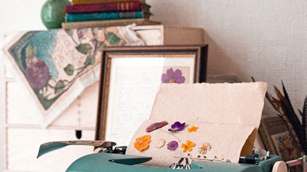 newsletter-sonia-grispo